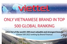 Viettel only Vietnamese brand in top 500 global ranking