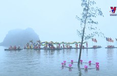Tam Chuc Pagoda introduces unique Spring festival