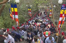 Spiritual tourism in Quang Ninh luring visitors