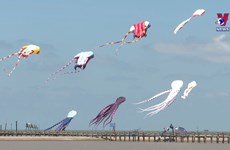 Festival honours national flute kite flying