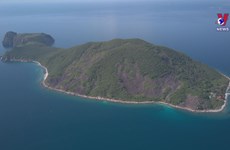 Khanh Hoa exerts efforts to preserve marine ecosystems 