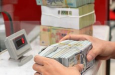 Global exchange rate fluctuations impact Vietnamese economy