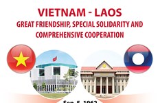Milestones in Vietnam - Laos special relationship