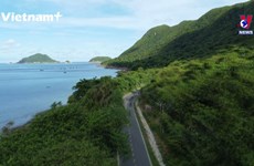Unique coastal route on Con Dao Island 