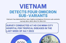Vietnam detects four Omicron sub-variants