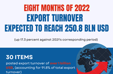 Export turnover expected to reach over 250 billion USD in eight months