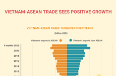 Vietnam - ASEAN trade sees positive growth 
