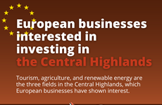 European businesses interested in investing in the Central Highlands