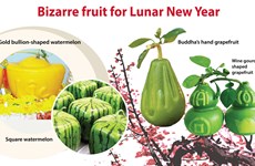 Bizarre fruit for Lunar New Year