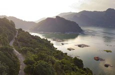 Majestic beauty of Hoa Binh Reservoir