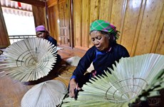 Preserving unique craft of making palm-leaf conical hats