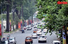 Green-lined roads cool scorching hot days in Ho Chi Minh City