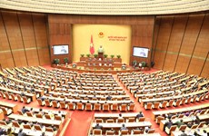Vietnam meticulously preparing for 15th National Assembly elections