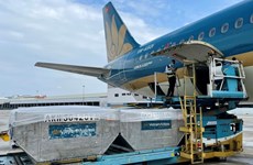Vietnam Airlines completes transport of AstraZeneca vaccine to localities