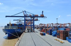 Vietnam’s January exports rises 50.5 percent