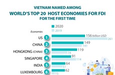 Vietnam among world's top 20 host economies for FDI