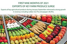 Exports of key farm produce surge in nine months