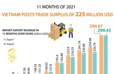 Vietnam posts trade surplus of 225 million USD in 11 months