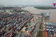 Export-import turnover tops 668 billion USD 