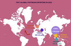 (interactive) Vietnam becomes world's second largest footwear exporter