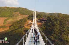 World’s longest glass-bottomed bridge in Vietnam wows int’l media