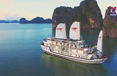 Vietnam climbs 8 places in global tourism development index
