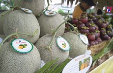 HCM City hosts first-ever fruit festival