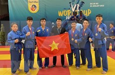 Vietnam wins three gold medals at 6th world Vovinam championship