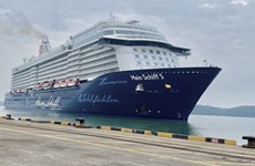 Ba Ria-Vung Tau welcomes nearly 2,400 int’l cruise tourists