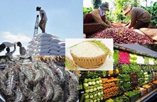 Agro-forestry-fishery exports top 3.7 billion USD in January