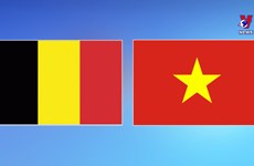 Vietnam - Belgium relations constantly developing