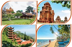A tour to fabulous Binh Thuan province