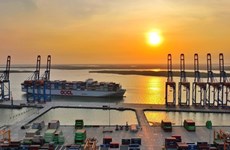 Vietnam receives world’s biggest container ship