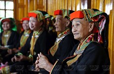 Dao Lo Gang ethnics add colour to northern region 