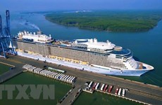 Number of cruise ship tourists to Vietnam sees strong recovery