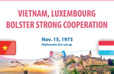 Vietnam, Luxembourg bolster strong cooperation