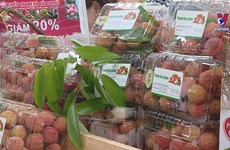 “Golden time” for Vietnam’s lychee exports coming: experts