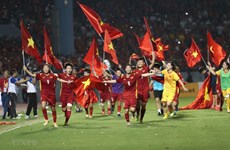 Standout achievements of Vietnam’s sports