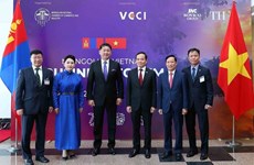 Businesses an important force to boost Vietnam – Mongolia ties: Deputy PM