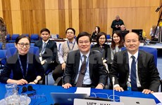 Vietnam actively engages in cooperation to ensure nuclear security