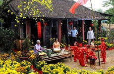 Vietnamese family tradition in Lunar New Year festival