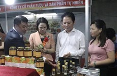Red River Delta-Hung Yen industrial-trade fair 2022 opens