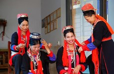 Festival highlights unique traditional costumes of 22 ethnic groups 