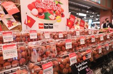Bac Giang posts record revenue from lychee in 2023 crop