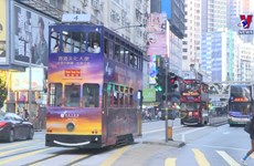 Hong Kong firms seek cooperation opportunities in Vietnam