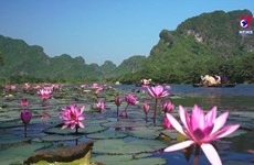 Ninh Binh - one of 10 most welcoming regions: Booking.com