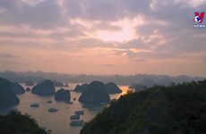 Memorable experiences from dawn-to-dusk tour to Ha Long Bay 