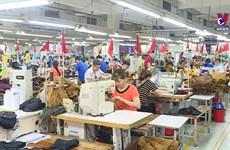 Vietnam's economy to grow by 6.6% this year: OECD