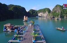 Cua Van village among world’s top fairytale destinations