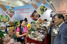 Ministry seeks solutions to drive export of agricultural products